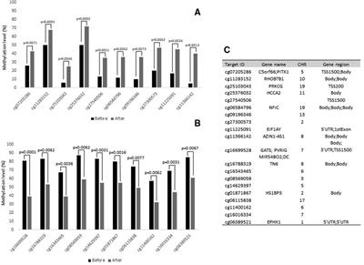 Exercise training and DNA methylation profile in post-bariatric women: Results from an exploratory study